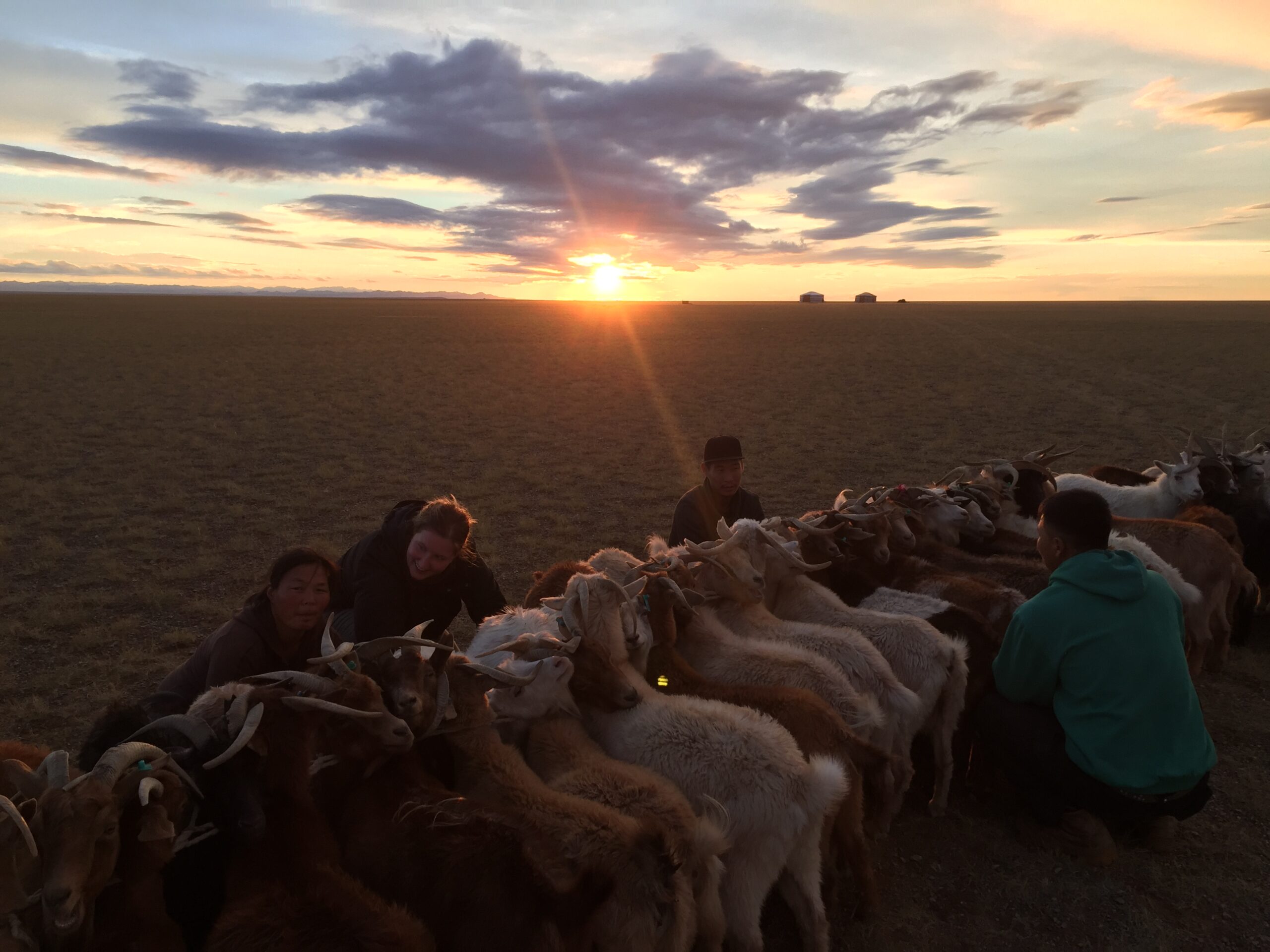 Mongolie, séjour personnalisé