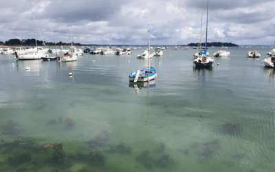 Idées destinations pour la fin de l’année #Covid19