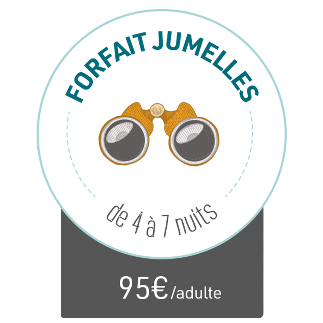 Forfait recherches Salmon Voyages (1)