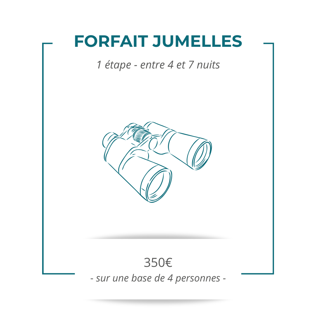 Forfait Jumelles Salmon Voyages Forfait recherches Salmon Voyages